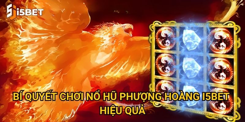 Nổ hũ Phượng Hoàng I5bet – Làm sao để nhận thưởng khủng? 3 Bí quyết chơi nổ hũ Phượng Hoàng I5bet hiệu quả