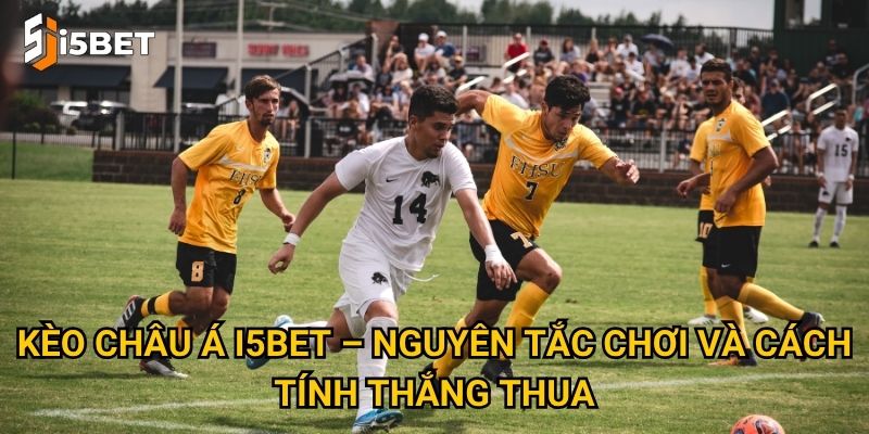 Kèo châu Á I5bet là gì và làm sao để đặt cược chuẩn xác nhất? 2 Kèo châu Á I5bet – Nguyên tắc chơi và cách tính thắng thua